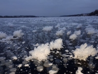 Ледяные цветы на льду Волги (декабрь 2020)_297